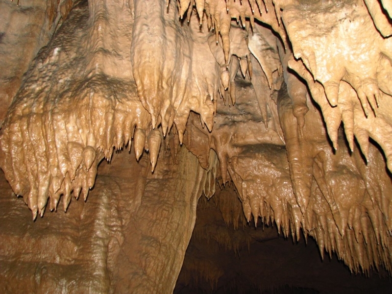 kostanjeviška jama